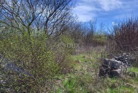 ISTRA, SVETVINČENAT - Poljoprivredno zemljište, Svetvinčenat, Land