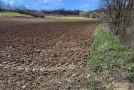 ISTRA, PAZIN - Poljoprivredno zemljište, Pazin - Okolica, Land