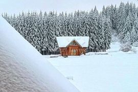 RAVNA GORA, predivna drvena kuća od ariša okružena šumom i potokom, Ravna Gora, Haus