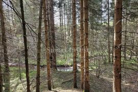 RAVNA GORA, predivna drvena kuća od ariša okružena šumom i potokom, Ravna Gora, Ev