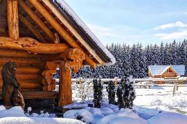 RAVNA GORA, predivna drvena kuća od ariša okružena šumom i potokom, Ravna Gora, Haus