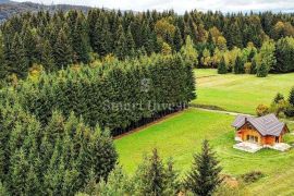 RAVNA GORA, predivna drvena kuća od ariša okružena šumom i potokom, Ravna Gora, Maison