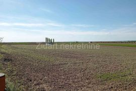 Surduk, plac pored luksuznog kompleksa Dunavski visovi, Stara Pazova, Land