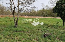Istra, Barban, građevinsko zemljište 693m2  #prodaja, Barban, Terra