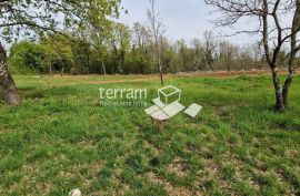 Istra, Barban, građevinsko zemljište 693m2  #prodaja, Barban, Γη