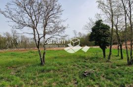 Istra, Barban, građevinsko zemljište 772m2  #prodaja, Barban, أرض