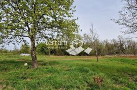 Istra, Barban, građevinsko zemljište 772m2  #prodaja, Barban, Terrain