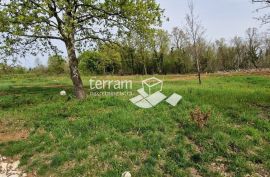 Istra, Barban, građevinsko zemljište 772m2  #prodaja, Barban, أرض