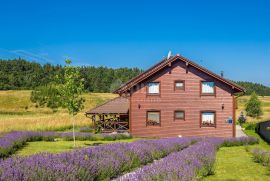 GORSKI KOTAR - Kuća sa 6 opremljenih soba za iznajmljivanje, Mrkopalj, House