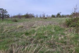 ISTRA, LUPOGLAV - Prostrano građevinsko zemljište, Lupoglav, Terrain