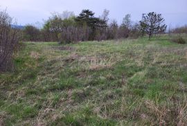 ISTRA, LUPOGLAV - Građevinsko zemljište, Lupoglav, Terrain