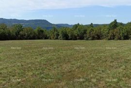 Građevinsko zemljište Prodaja građevinskog zemljišta, površine od 1374 m2, Buzet!, Buzet, أرض