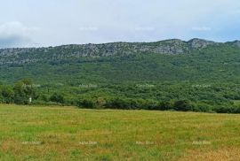 Građevinsko zemljište Prodaja građevinskog zemljišta, površine od 1374 m2, Buzet!, Buzet, Terra