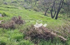 Istra, Loborika, građevinsko zemljište 2711m2 NOVO #prodaja, Marčana, Terrain