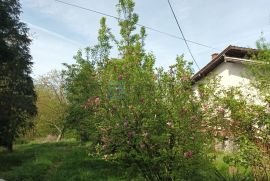 Kuća prodaja Čazma, Pobjenik, s imanjem 11.000 m2,, Čazma, Casa