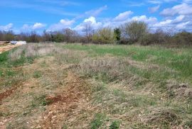 ISTRA, SVETVINČENAT - Građevinsko zemljište, Svetvinčenat, Terreno