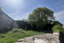 ISTRA,BARBAN - Imanje s potencijalom, Barban, Famiglia