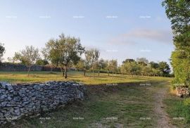 Građevinsko zemljište Marčana Filipana, građevinski teren., Marčana, Terreno