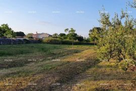 Građevinsko zemljište Marčana Filipana, građevinski teren., Marčana, Terreno