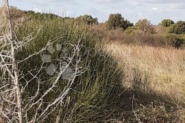 Prilika!! Poljoprivredno zemljište 500 m od mora, Ližnjan, Terrain