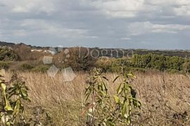 Prilika!! Poljoprivredno zemljište 500 m od mora, Ližnjan, Land