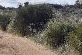 Prilika!! Poljoprivredno zemljište 500 m od mora, Ližnjan, Terrain