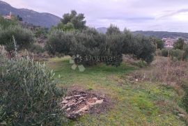 Poljoprivredno zemljište Hvar-Jelsa 9500m2, Hvar, Terreno