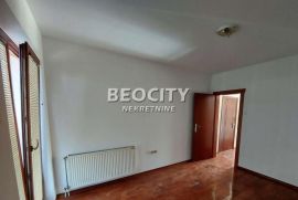 Novi Sad, Salajka, Šajkaška, 2.0, 65m2, Novi Sad - grad, Commercial property