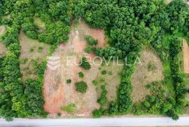 Barban, Rojnići - prekrasno pravokutno građevinsko zemljište 784 m2, Barban, Land