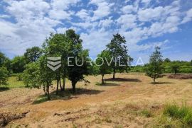 Barban, Rojnići - prekrasno pravokutno građevinsko zemljište 861 m2, Barban, Land