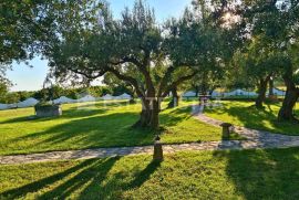 Galižana - rustikalna kuća s pogledom na otočje Brijuni, Vodnjan, بيت