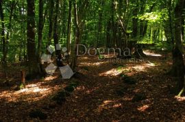 Idealno mjesto za OPG ili turistički kompleks !!!!, Karlovac - Okolica, Kuća