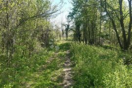 Zemljište sa ruševnom kućom, Plaški, Terra