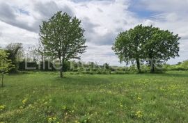 PRODAJA ! Građevinsko zemljište za izgradnju više vila,12 000 m2., Višnjan, Tierra