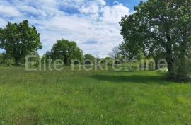 PRODAJA ! Građevinsko zemljište za izgradnju više vila,12 000 m2., Višnjan, Land