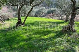 Draguć - stara kuća s 1008m2 građevinskog zemljišta, Cerovlje, Kuća