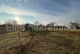 Istra, Žminj - Prodaja kuće i građevinskog zemljišta, Žminj, House