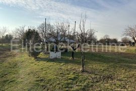 Istra, Žminj - Prodaja kuće i građevinskog zemljišta, Žminj, Дом