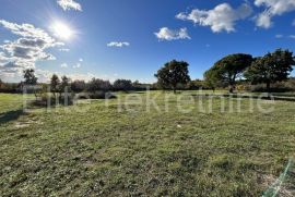 Istra, Galižana - Uređeno poljoprivredno zemljište, Vodnjan, Land