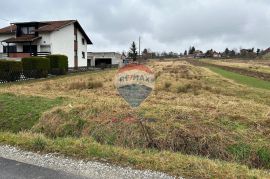 GRAĐEVINSKO ZEMLJIŠTE, 3046 m2, POZNANOVEC, Bedekovčina, Terrain