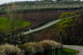 Poljoprivredno zemljište - Podgorje Bračevačko, Terreno