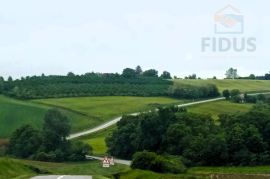 Poljoprivredno zemljište - Podgorje Bračevačko, Land