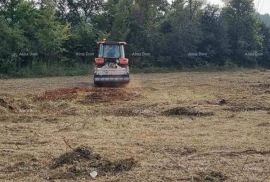 Građevinsko zemljište Brtonigla. Građevinsko zemljište., Brtonigla, Terra