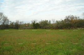 Poljoprivredno zemljište Poljoprivredno zemljište: Peroj, 2942 m2, Vodnjan., Vodnjan, Arazi