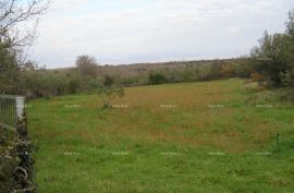 Poljoprivredno zemljište Poljoprivredno zemljište: Peroj, 2942 m2, Vodnjan., Vodnjan, Земля