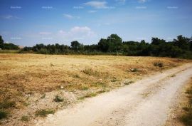 Građevinsko zemljište Prodaje se atraktivno građevinsko zemljište, Šišan, Ližnjan, Land