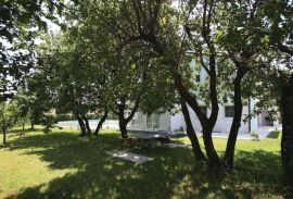 Kuća za odmor na prodaju, Buje, okolica, Istra, Buje, House