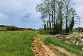 ISTRA, POREČ (okolica) - Građevinsko zemljište sa pogledom na more, Poreč, Tierra