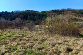 BUZET, ISTRA - Poljoprivredno zemljište, Buzet, Land