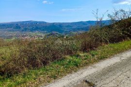 BUZET, ISTRA - Poljoprivredno zemljište, Buzet, Tierra